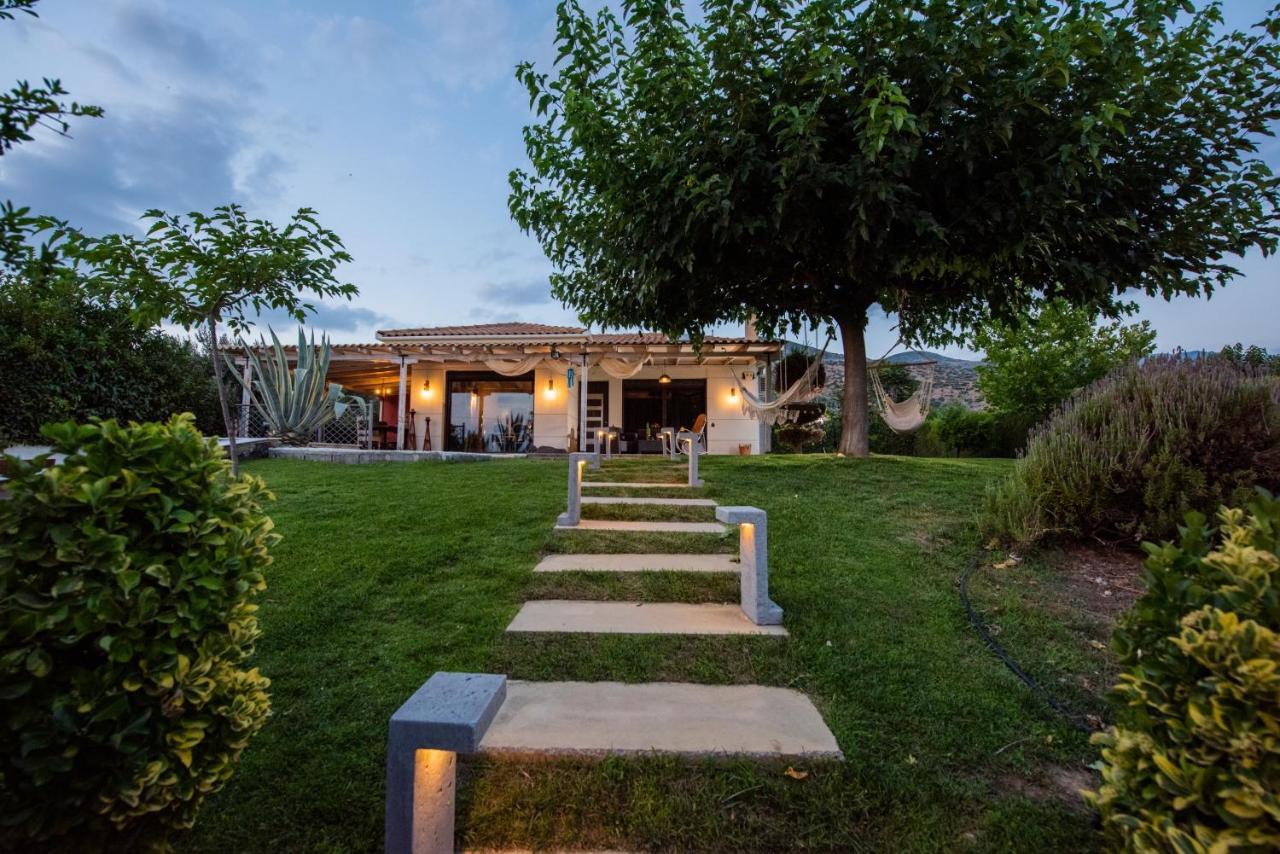 Luxury House In A Farm Villa Golos Dış mekan fotoğraf